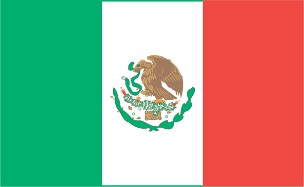 Mexico 2006-Pres Misc Logo iron on heat transfer